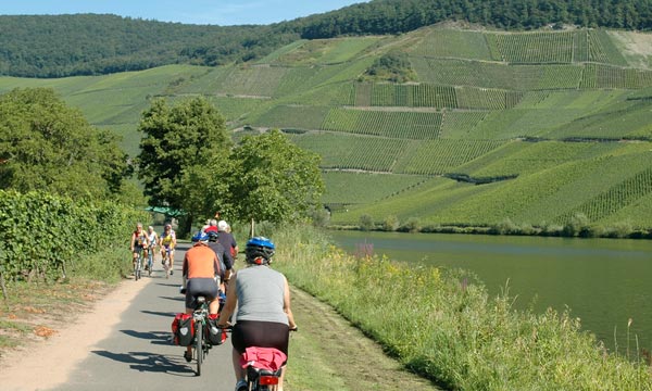 cycle tours along the Rhine
