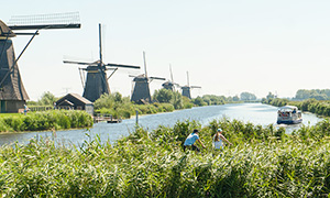 South Holland holidays Windmills & historical towns 